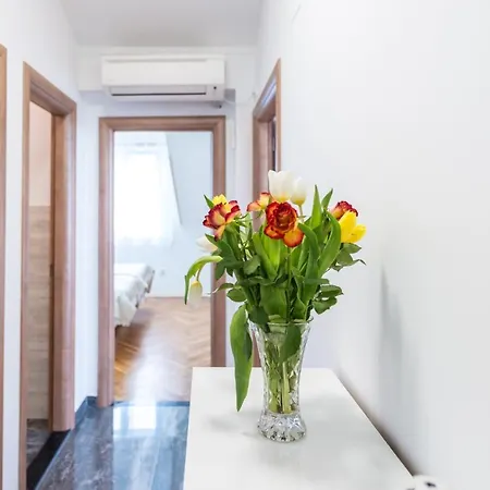 Sb Joy Lägenhet Dubrovnik